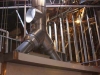 captiveduct4